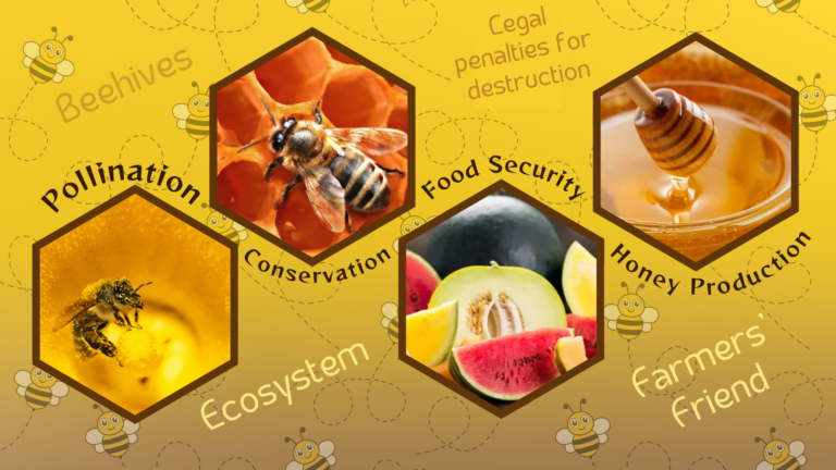 The Vital Role of Bees in Agriculture and Nature: A Call for Conservation