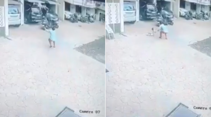 Quick Thinking Saves Toddler from 13th-Floor Fall in Maharashtra