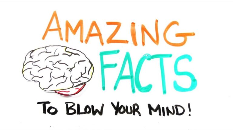 10 Fun Facts That Will Blow Your Mind 🤯