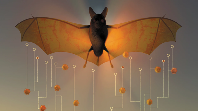 New Bat Coronavirus Discovered in China: Should We Be Concerned?