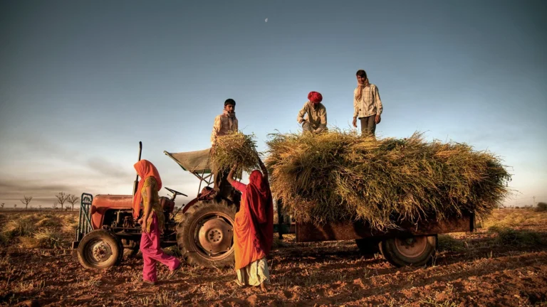Rajasthan’s Growing Agri Potential: Why Processing and Value Addition Matter