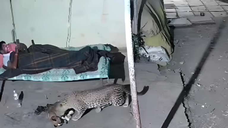Leopard Strikes in Pune’s Bhor: Pet Dog Dragged Away as Owner Stares at Mobile