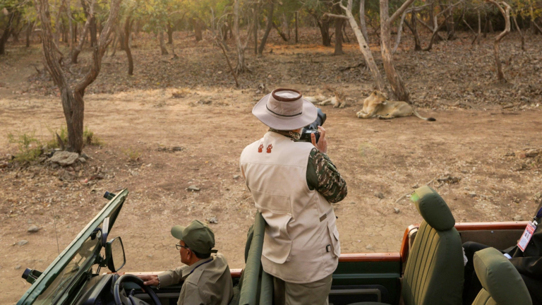 PM Modi’s Push for Wildlife Conservation: Cheetahs, Lions and More