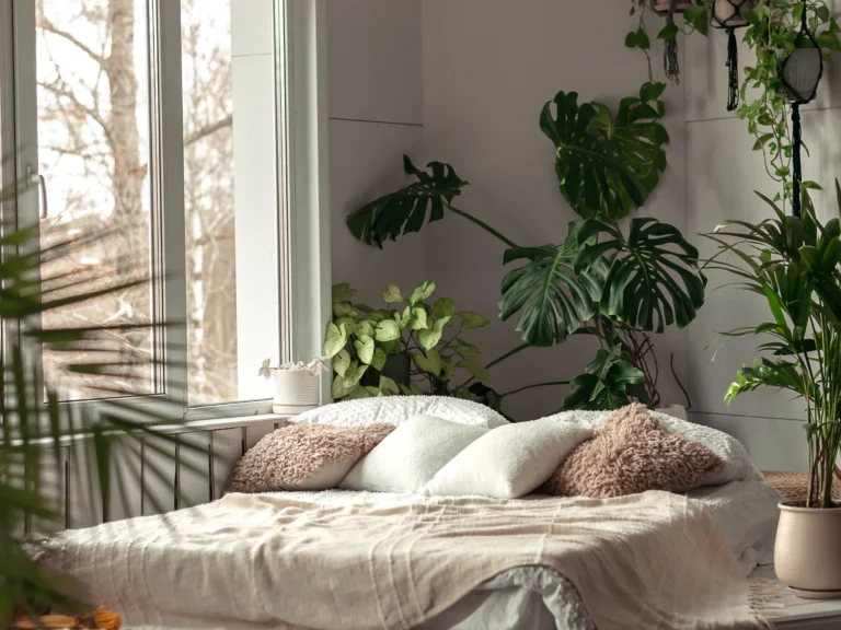 🌿 More Than Just Pretty Leaves: 6 Reasons to Grow a Monstera in Your Home
