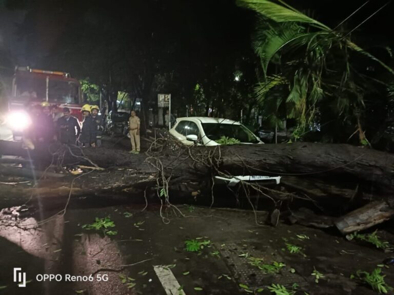 Pune Youth Dies After Tree Falls Amid Heavy Rain, Civic Negligence Under Scrutiny