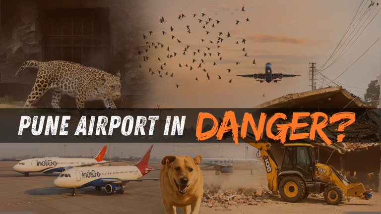 Is Pune Airport Safe? Stray Dogs, Bird Strikes, and Illegal Constructions Raise Serious Safety Concerns
