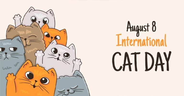 International Cat Day 2025: 7 Internet Cats Who Built Multi-Million-Dollar Empires