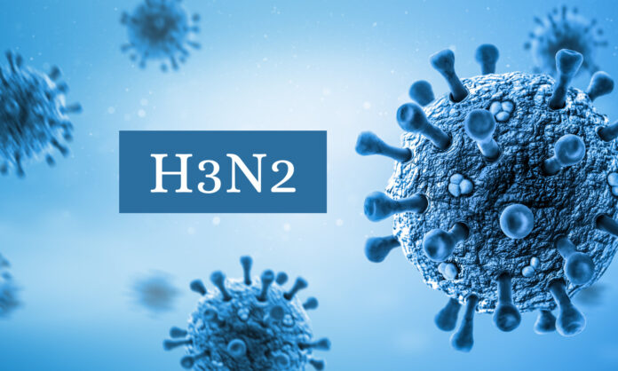 Microscopic view of the H3N2 influenza virus the seasonal flu strain currently driving a surge in cases across Delhi. (PC: Medical Dialogues)
