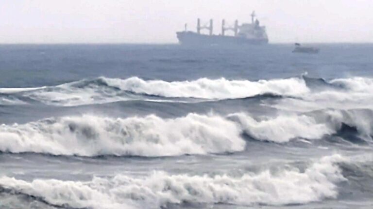 Cyclone Montha lashes Andhra Pradesh with heavy rain and gusty winds near Kakinada on Tuesday evening, uprooting trees, disrupting power lines, and triggering mudslides in parts of Odisha. ( PC: PTI)